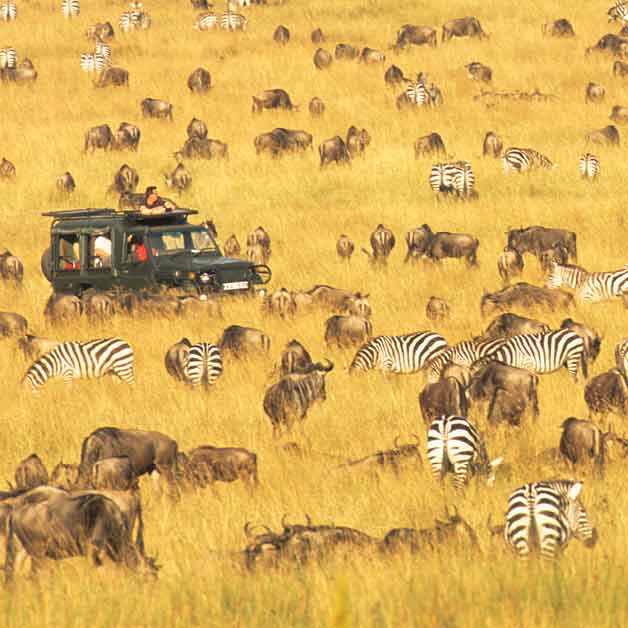 Maasai Mara, Kenya