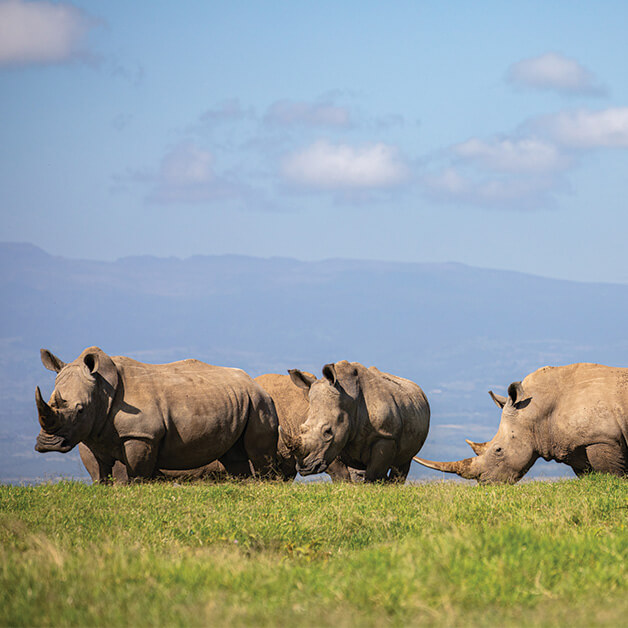 Solio Game Reserve